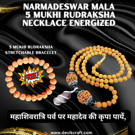 Magical Narmadeswar Mala Energized Rudraksha Necklace with Free Bracelet