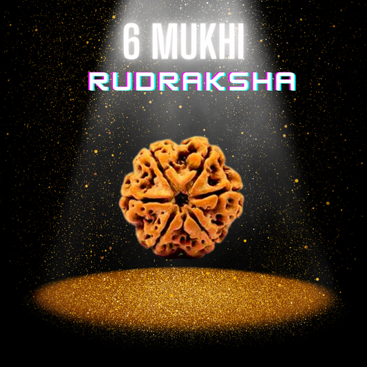 6 Mukhi Rudraksha - Certified Nepali Bead for Spiritual Balance