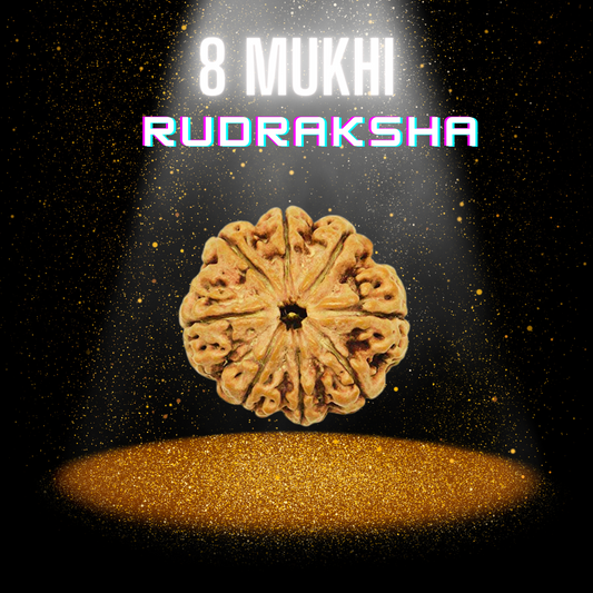 8 Mukhi Nepali Rudraksha - Spiritual Bead for Infinite Wisdom and Energy