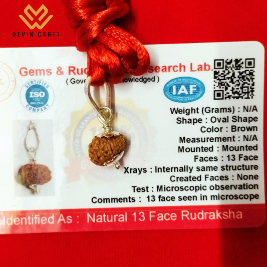 13 MUkhi Rudraksha Bead - Authentic Thirteen Face Rudraksh Java Bead Lab Certified