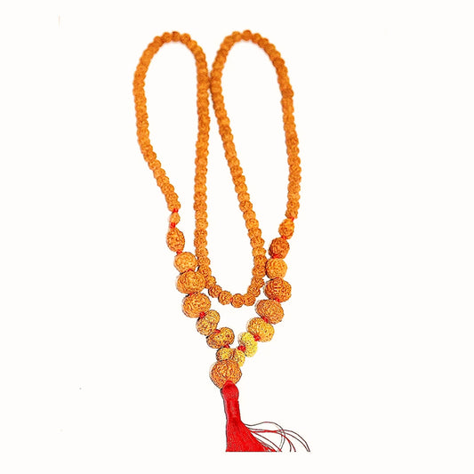 1 To 14 Mukhi Rudraksha With Gauri Shankar Kantha